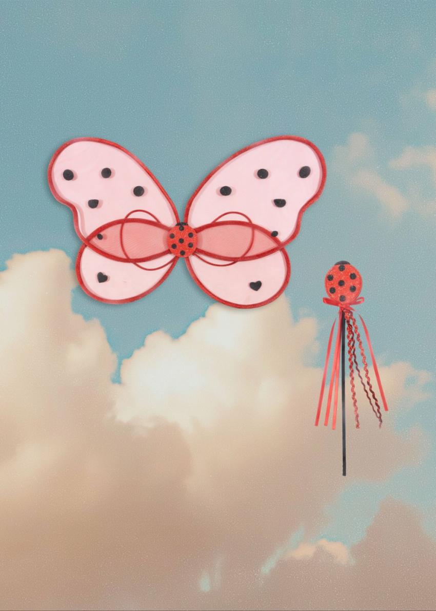 Creative & Games | Kids Konges Sløjd FAIRY LADYBUG COSTUME Ladybug Glitter