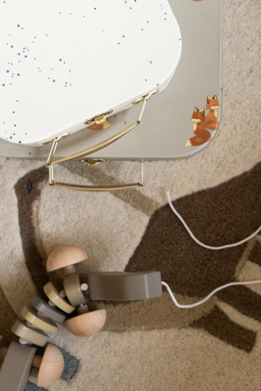 Activity Toys | Kids Konges Sløjd PULL DINO FSC Earth