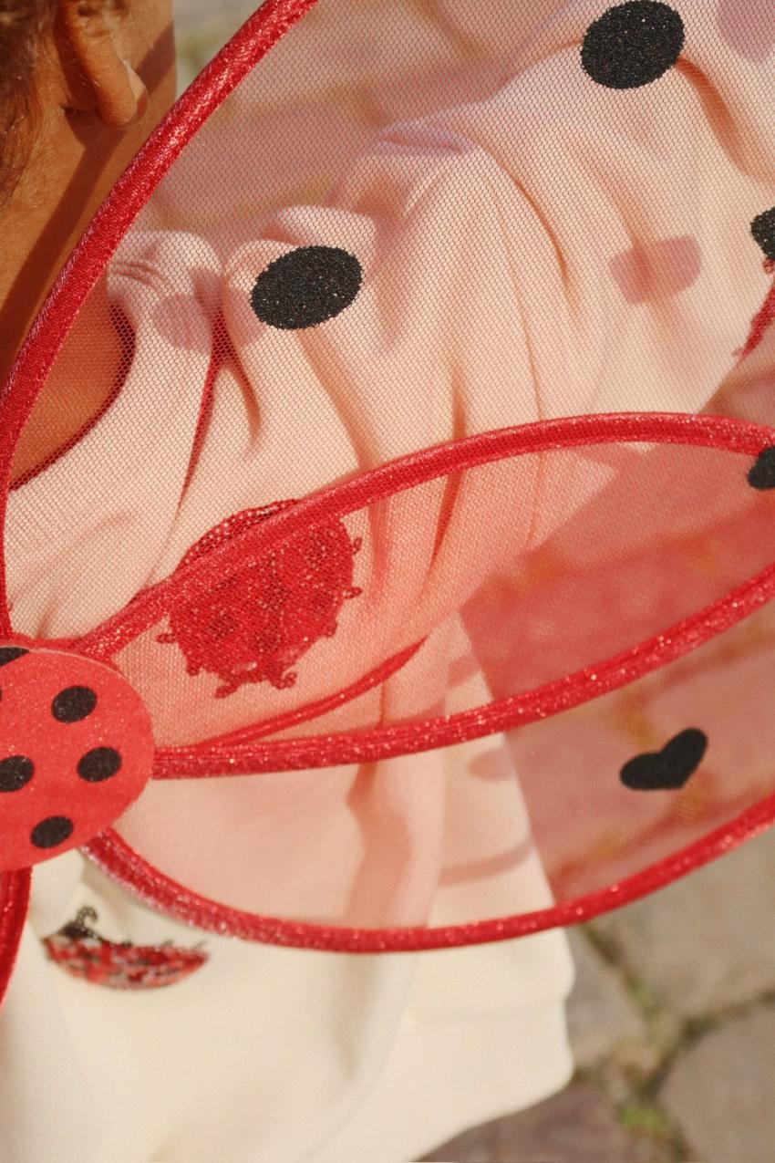 Bottoms | Kids Konges Sløjd MINNIE LADYBUG PANTS GOTS Ladybug