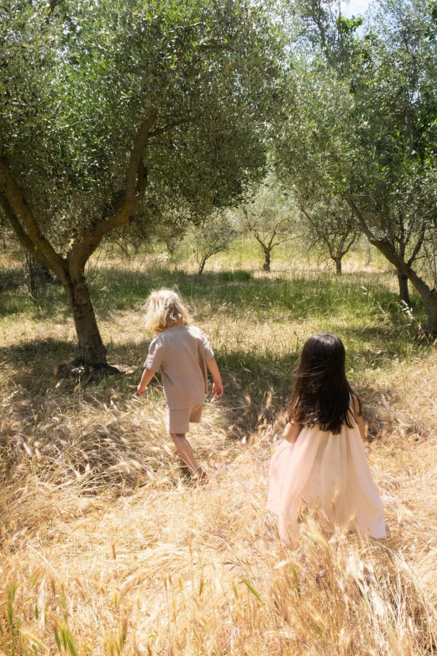 Bottoms | Kids Konges Sløjd OLIVE SHORTS Pure Cashmere