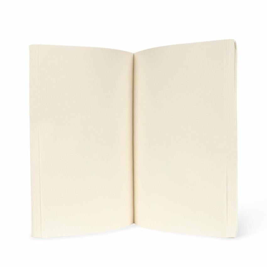 Creative &amp; Games | Kids Konges Sløjd ARTIST SET FSC Dino