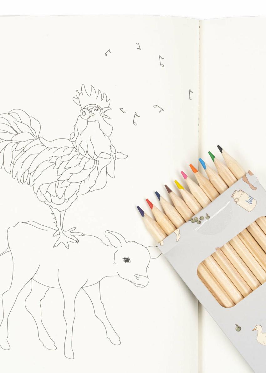 Creative &amp; Games | Kids Konges Sløjd COLORING BOOK AND CRAYONS Farm