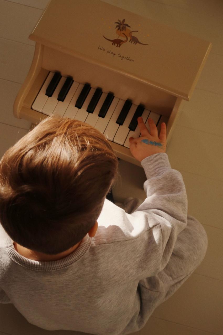 Creative &amp; Games | Kids Konges Sløjd PIANO FSC Dino
