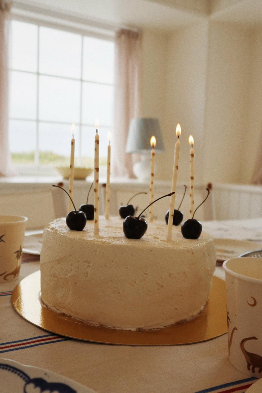 Dinner Time | Kids Konges Sløjd DINO CUPS FSC Dino