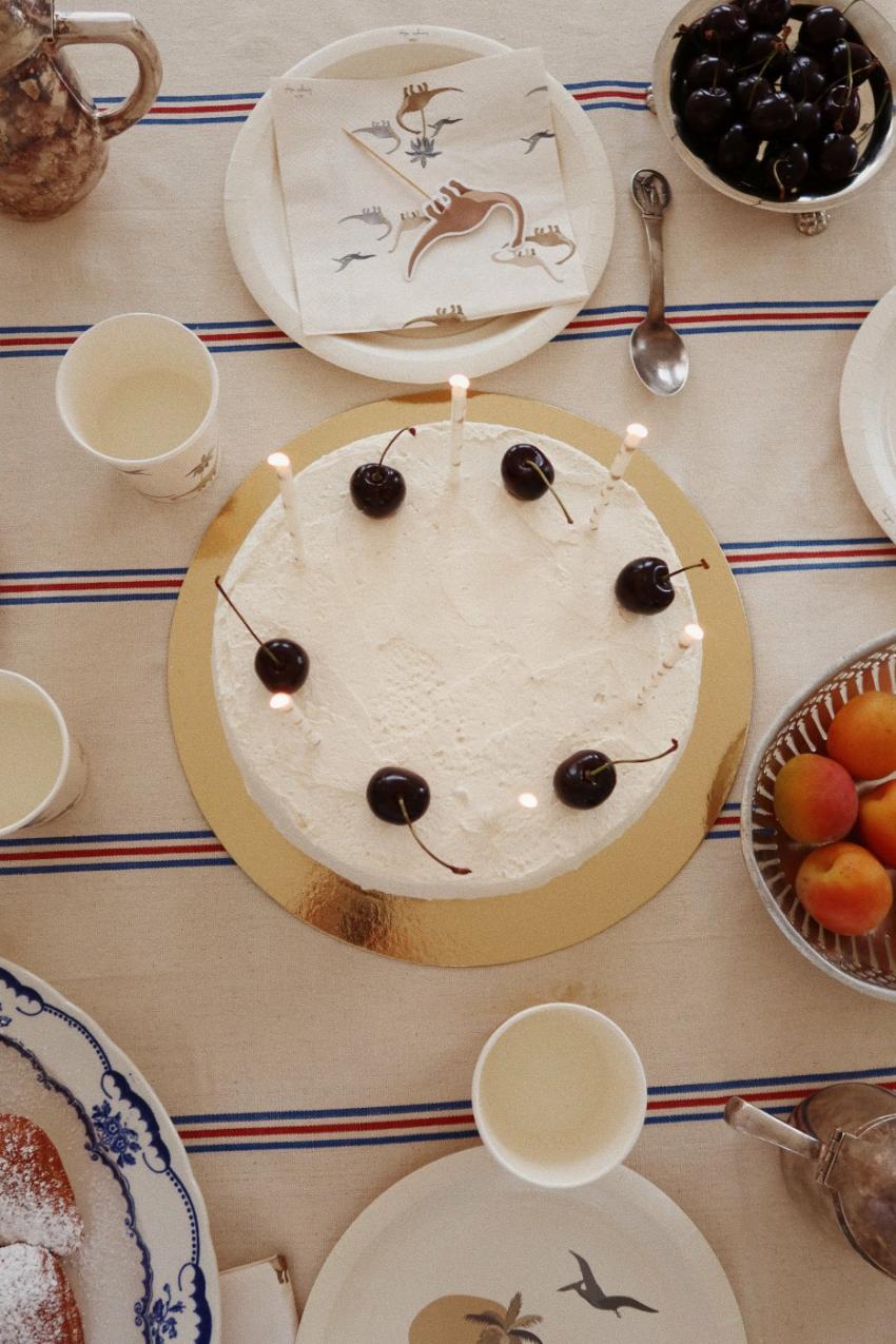 Dinner Time | Kids Konges Sløjd DINO PLATES FSC Dino