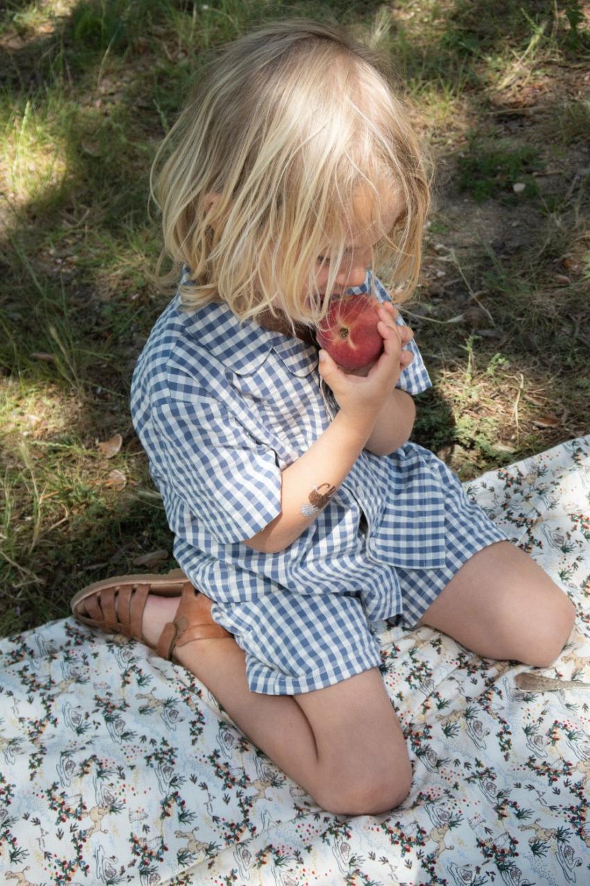 Tops | Kids Konges Sløjd KIM SS SHIRT Captains Blue Check