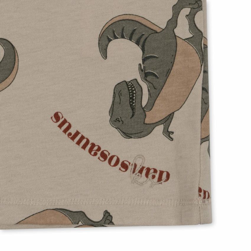 Tops | Kids Konges Sløjd LIN TEE GOTS Dansosaurus